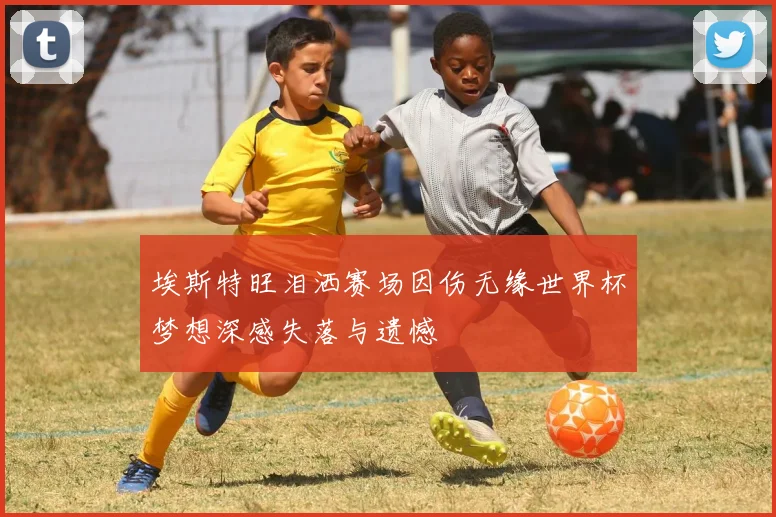 埃斯特旺泪洒赛场因伤无缘世界杯梦想深感失落与遗憾