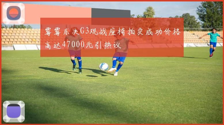 霉霉东决G3观战座椅拍卖成功价格高达47000元引热议