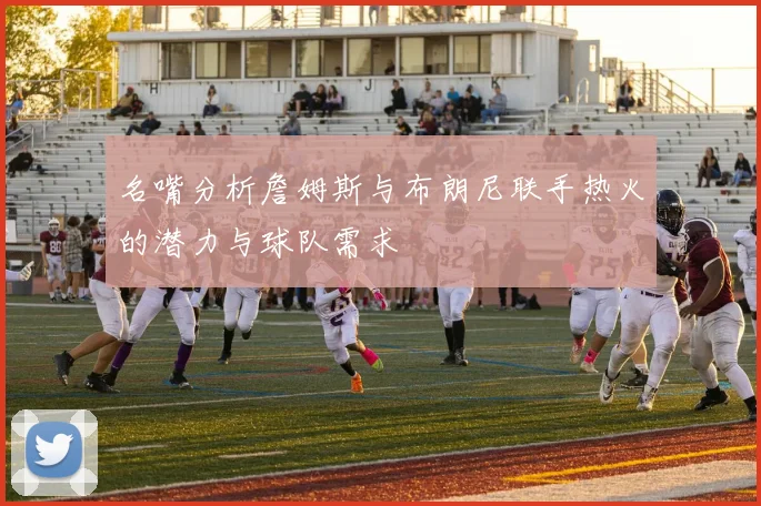 名嘴分析詹姆斯与布朗尼联手热火的潜力与球队需求